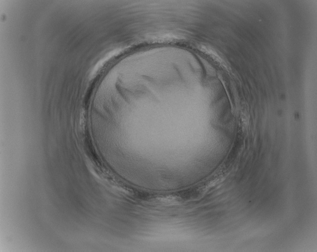 X0000071760583200607282150