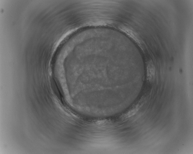 X0000071760584200607282150