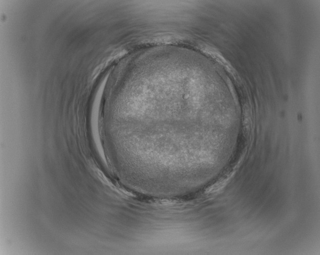 X0000071760585200607282150