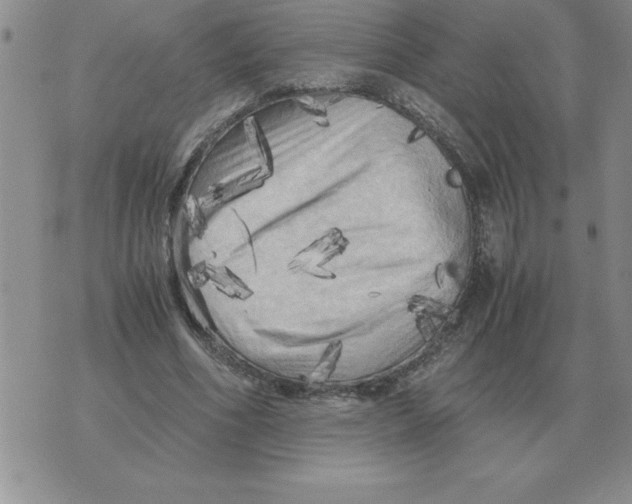 X0000071760586200607282150