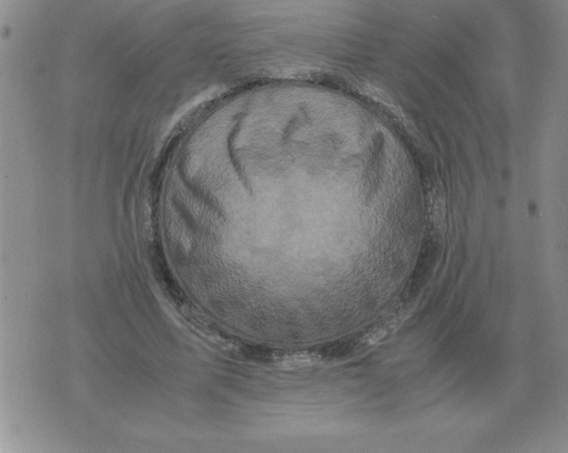 X0000071760587200607282150