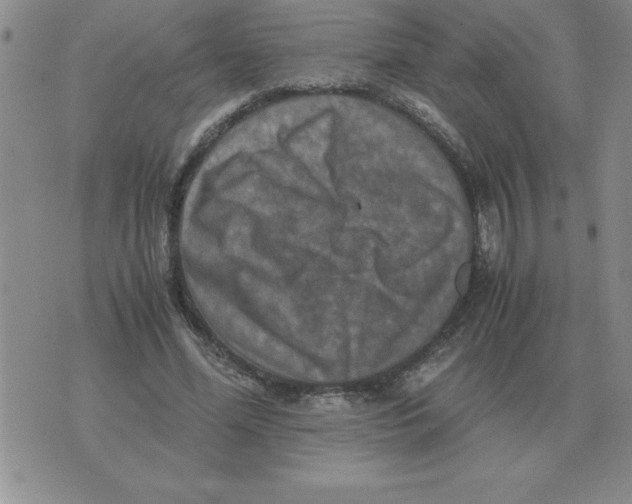 X0000071760588200607282150