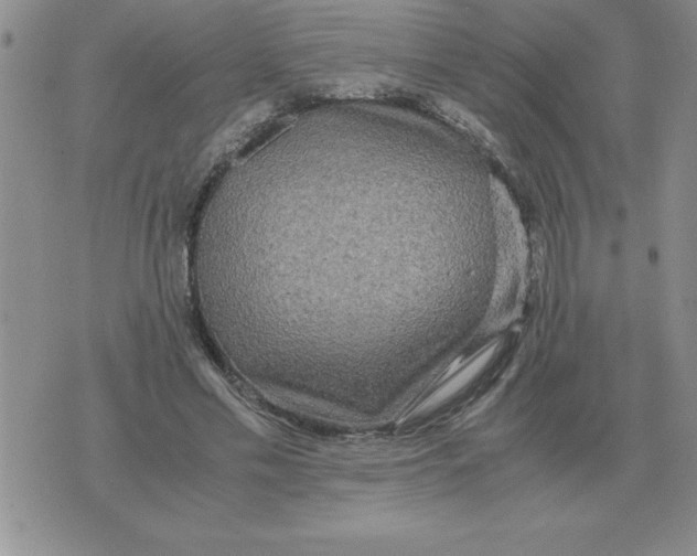 X0000071760589200607282150