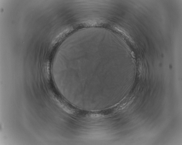 X0000071760590200607282150