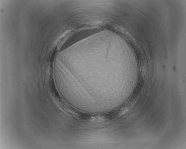 X0000071760591200607282150