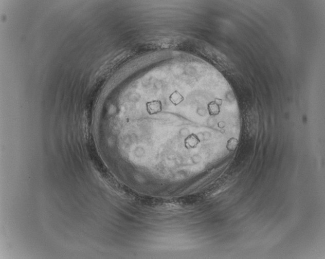 X0000071760594200607282150