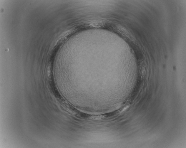 X0000071760595200607282150