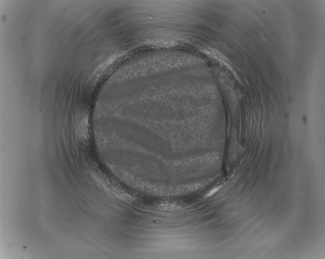 X0000071760596200607282150