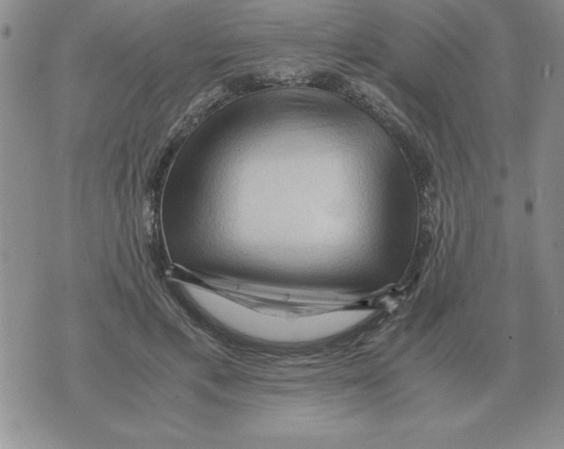 X0000071760597200607282150