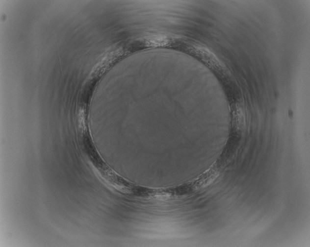 X0000071760598200607282150