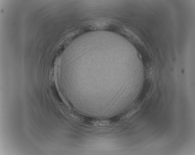 X0000071760599200607282149