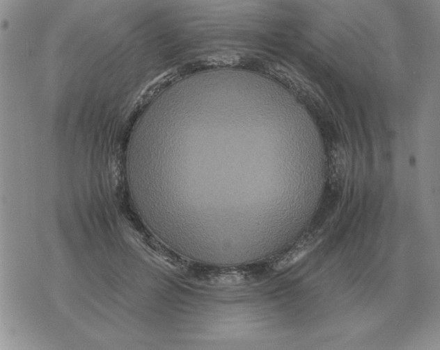 X0000071760600200607282149