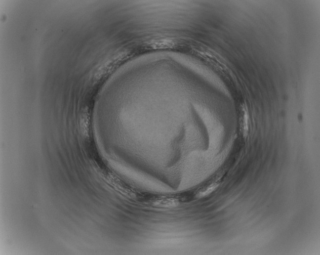 X0000071760604200607282149