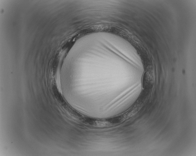 X0000071760605200607282149