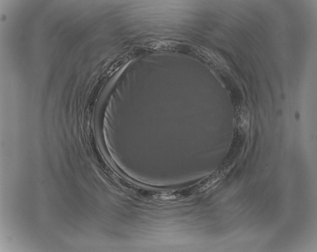 X0000071760607200607282149