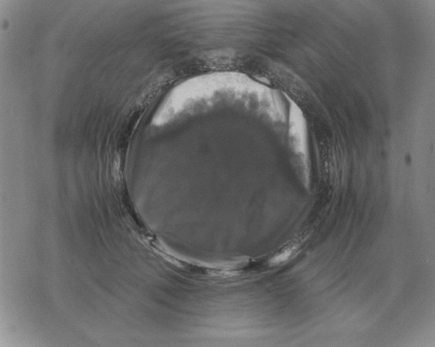 X0000071760610200607282149