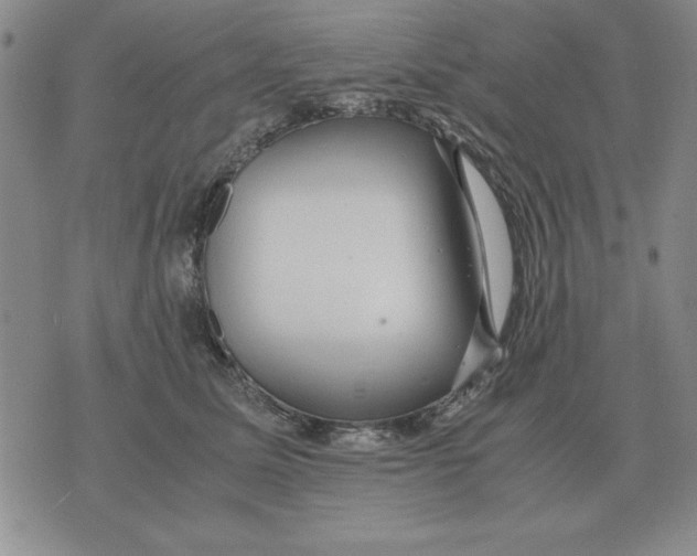 X0000071760611200607282149