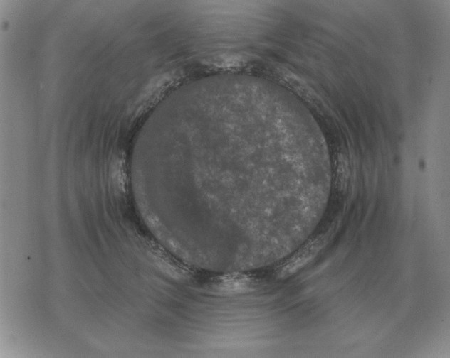 X0000071760612200607282149