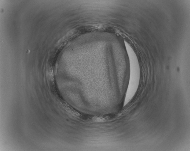 X0000071760613200607282149