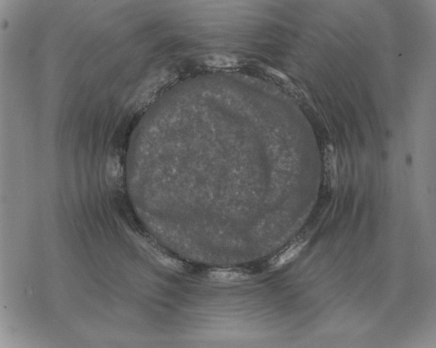 X0000071760614200607282149