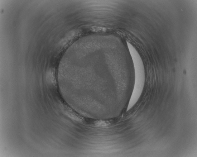 X0000071760616200607282149