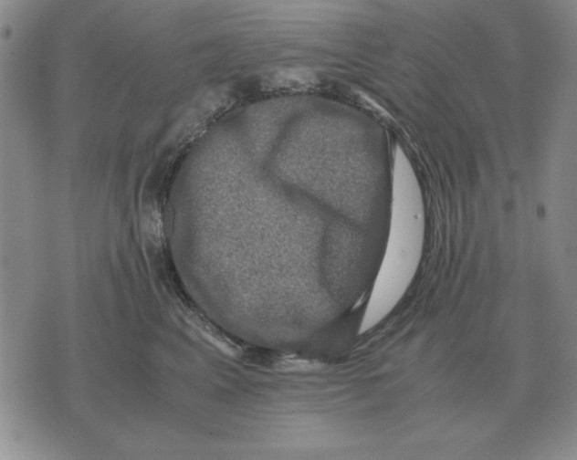 X0000071760617200607282149