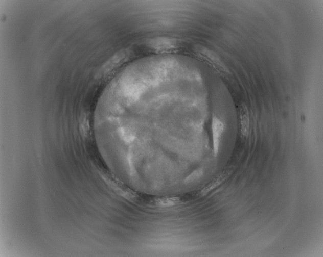 X0000071760618200607282149