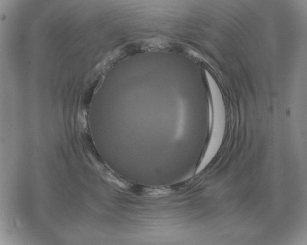 X0000071760621200607282149