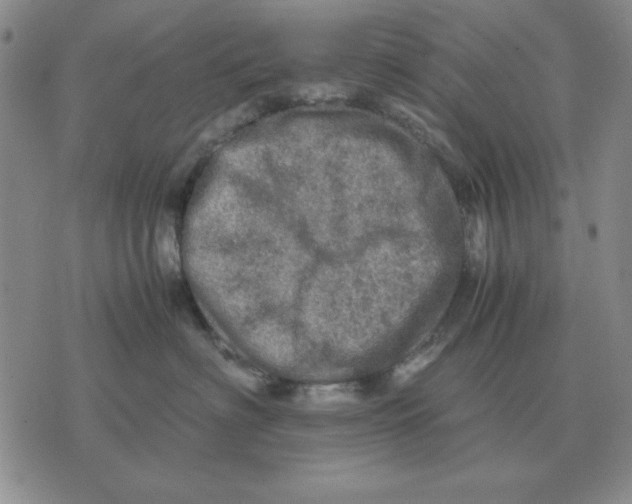 X0000071760622200607282149