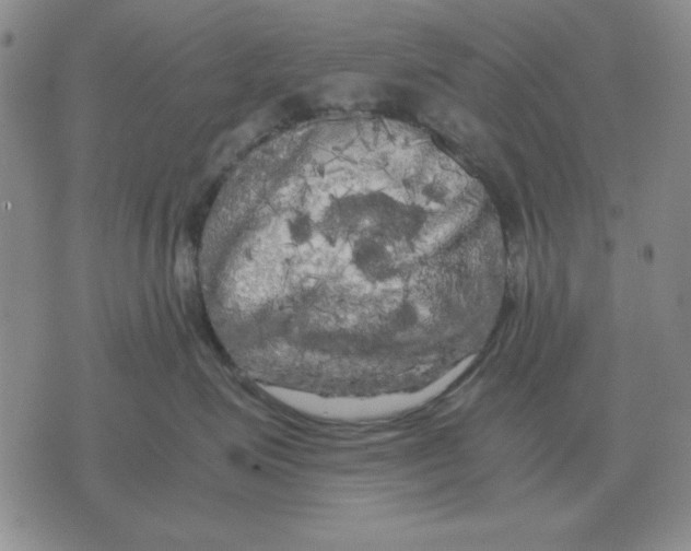 X0000071760623200607282149