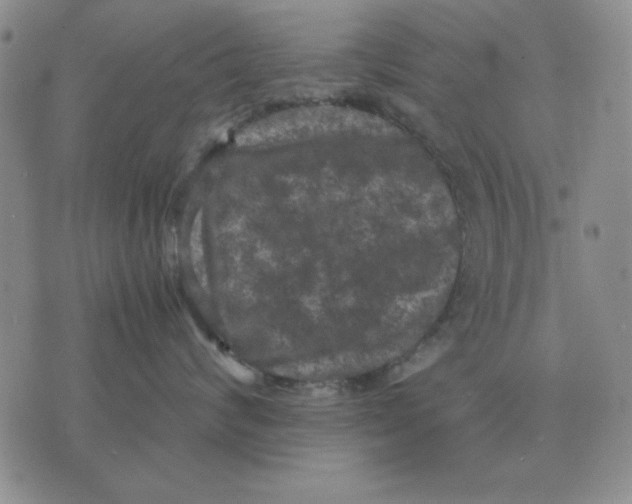 X0000071760624200607282149