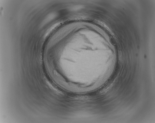 X0000071760629200607282148