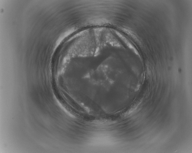 X0000071760630200607282148