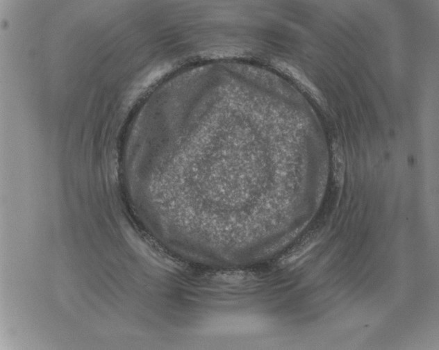 X0000071760631200607282148