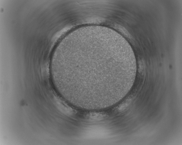 X0000071760632200607282148