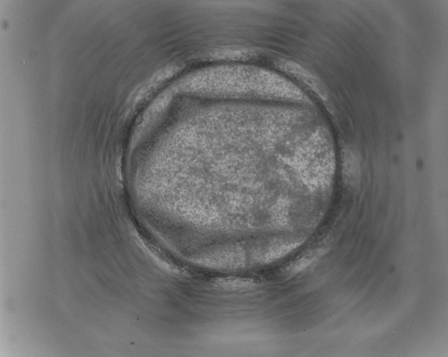 X0000071760633200607282148