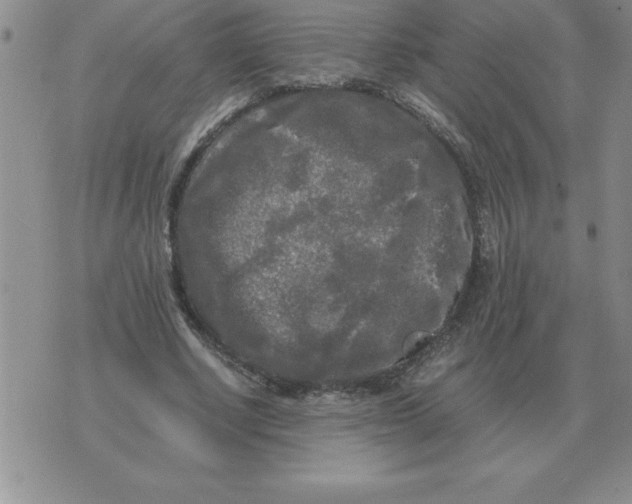 X0000071760634200607282148