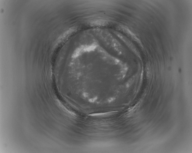 X0000071760637200607282149