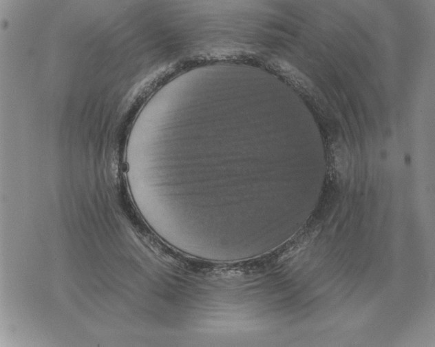 X0000071760640200607282149