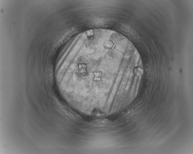 X0000071760642200607282149