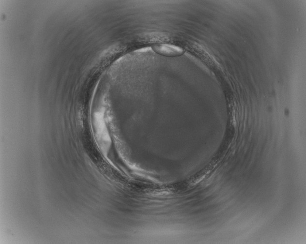 X0000071760643200607282149