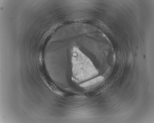 X0000071760644200607282149