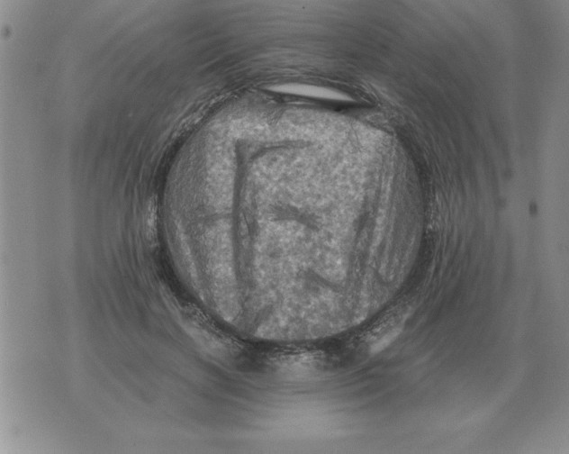 X0000071760646200607282149