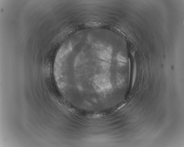 X0000071760647200607282149