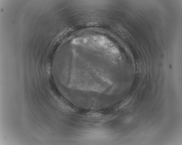 X0000071760648200607282149