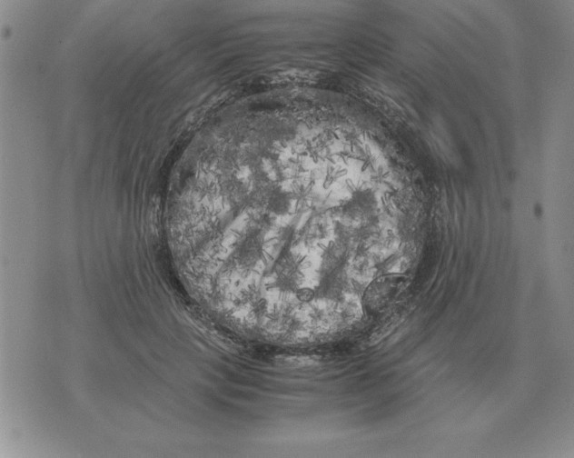 X0000071760649200607282149