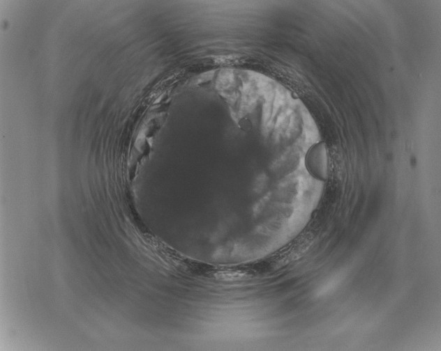 X0000071760650200607282149