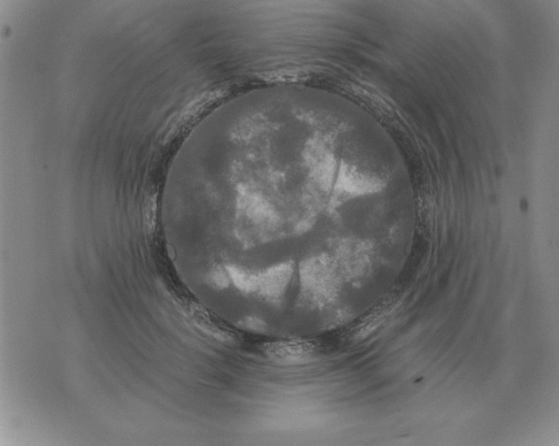 X0000071760652200607282149