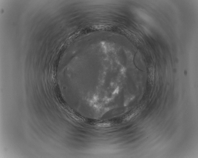 X0000071760653200607282149