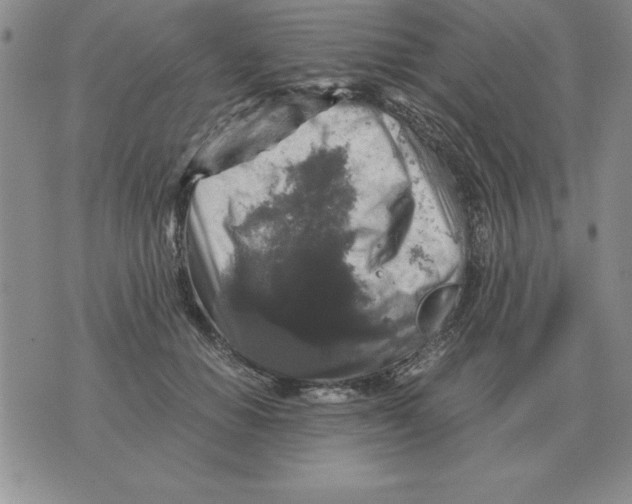 X0000071760654200607282149